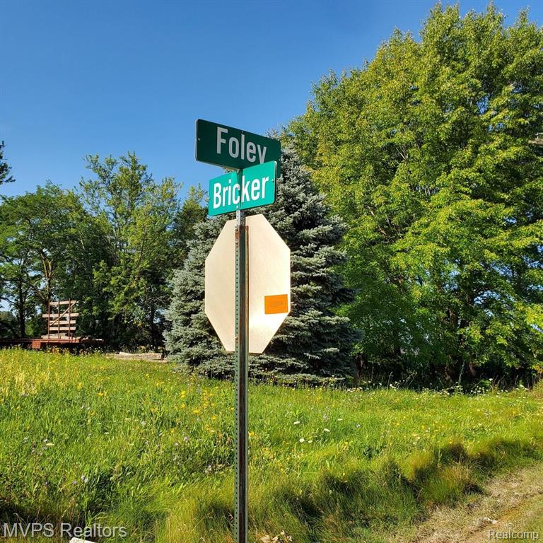 0 Bricker Road Avoca, MI 48006 - Photo 6 of 6