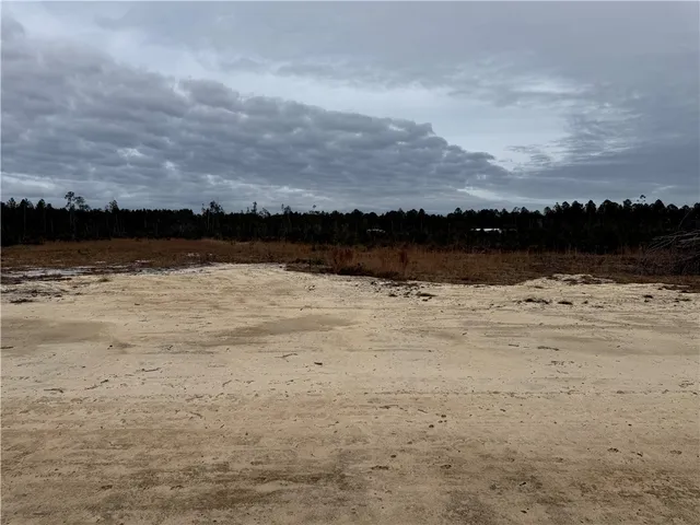 $32,500 | Lot 8 Wiregrass Lane, Unit 8, Waycross, GA 31503