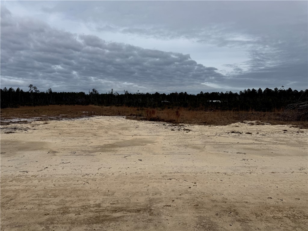 Lot 8 Wiregrass Lane, Unit 8 Waycross, GA 31503 - Photo 3 of 6