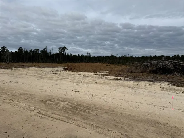 $32,500 | Lot 8 Wiregrass Lane, Unit 8, Waycross, GA 31503
