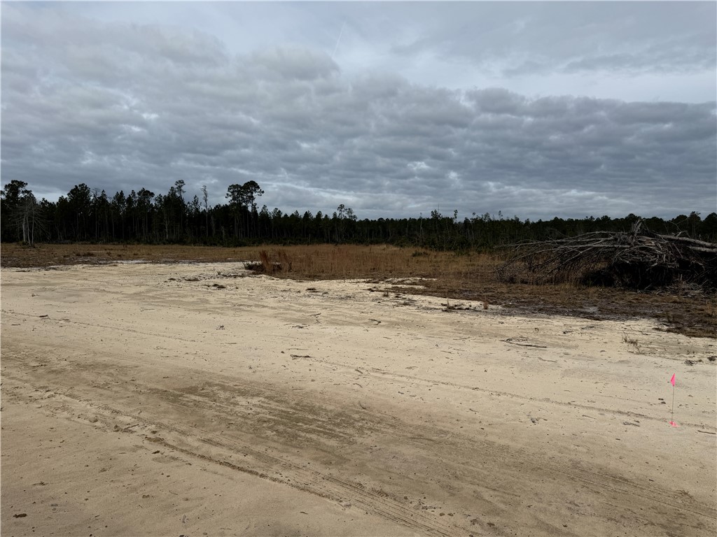 Lot 8 Wiregrass Lane, Unit 8 Waycross, GA 31503 - Photo 4 of 6