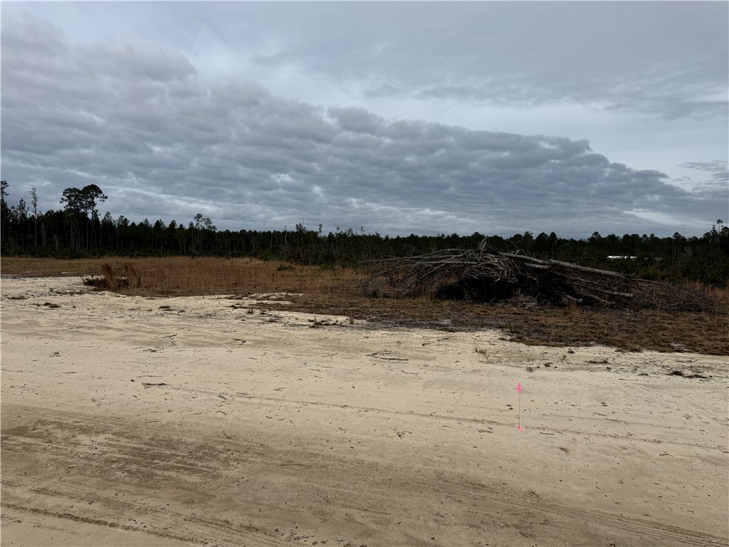 Lot 8 Wiregrass Lane, Unit 8 Waycross, GA 31503 - Photo 5 of 6