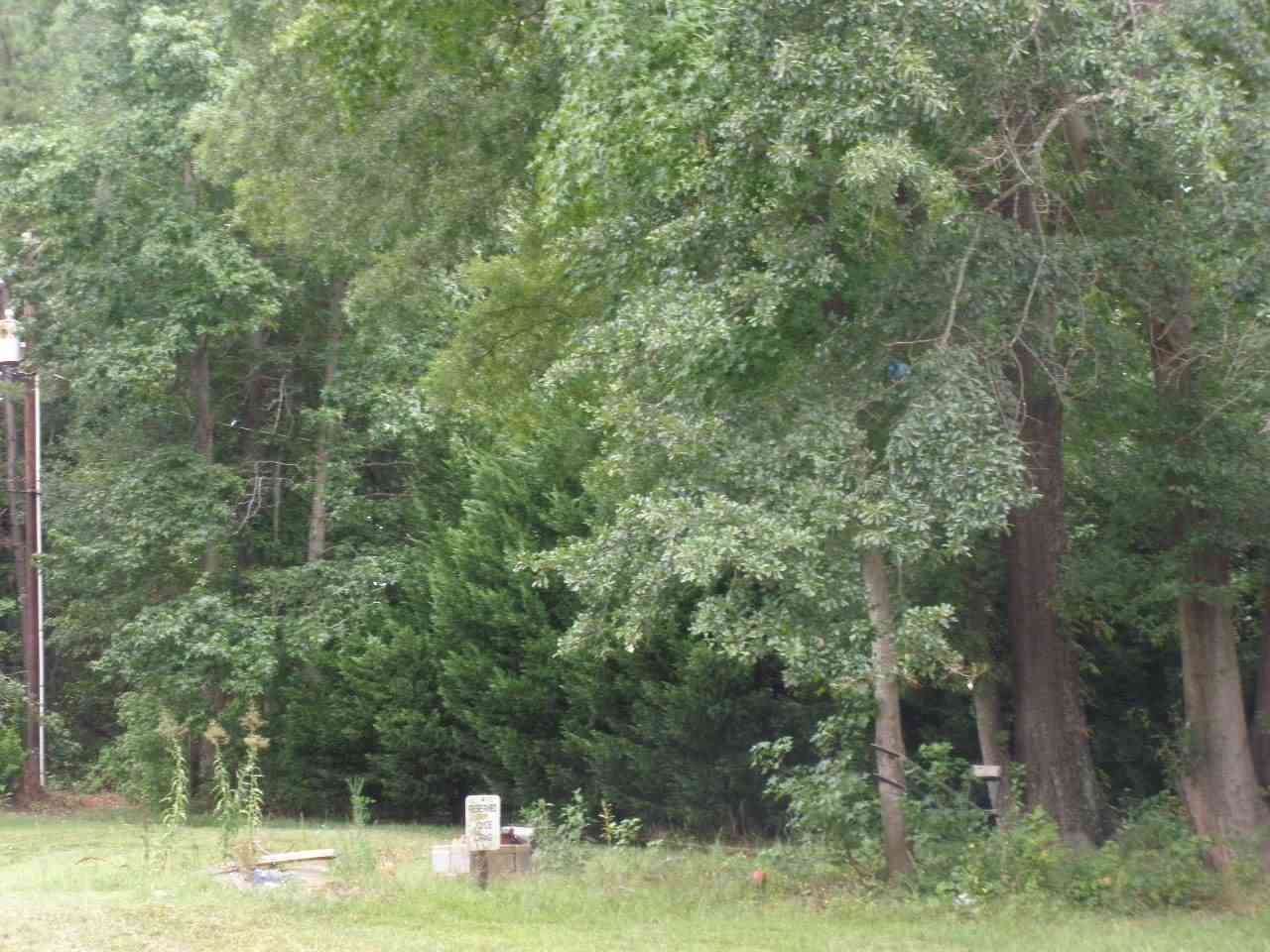 249 Bishop Road Inman, SC 29349 - Photo 7 of 13