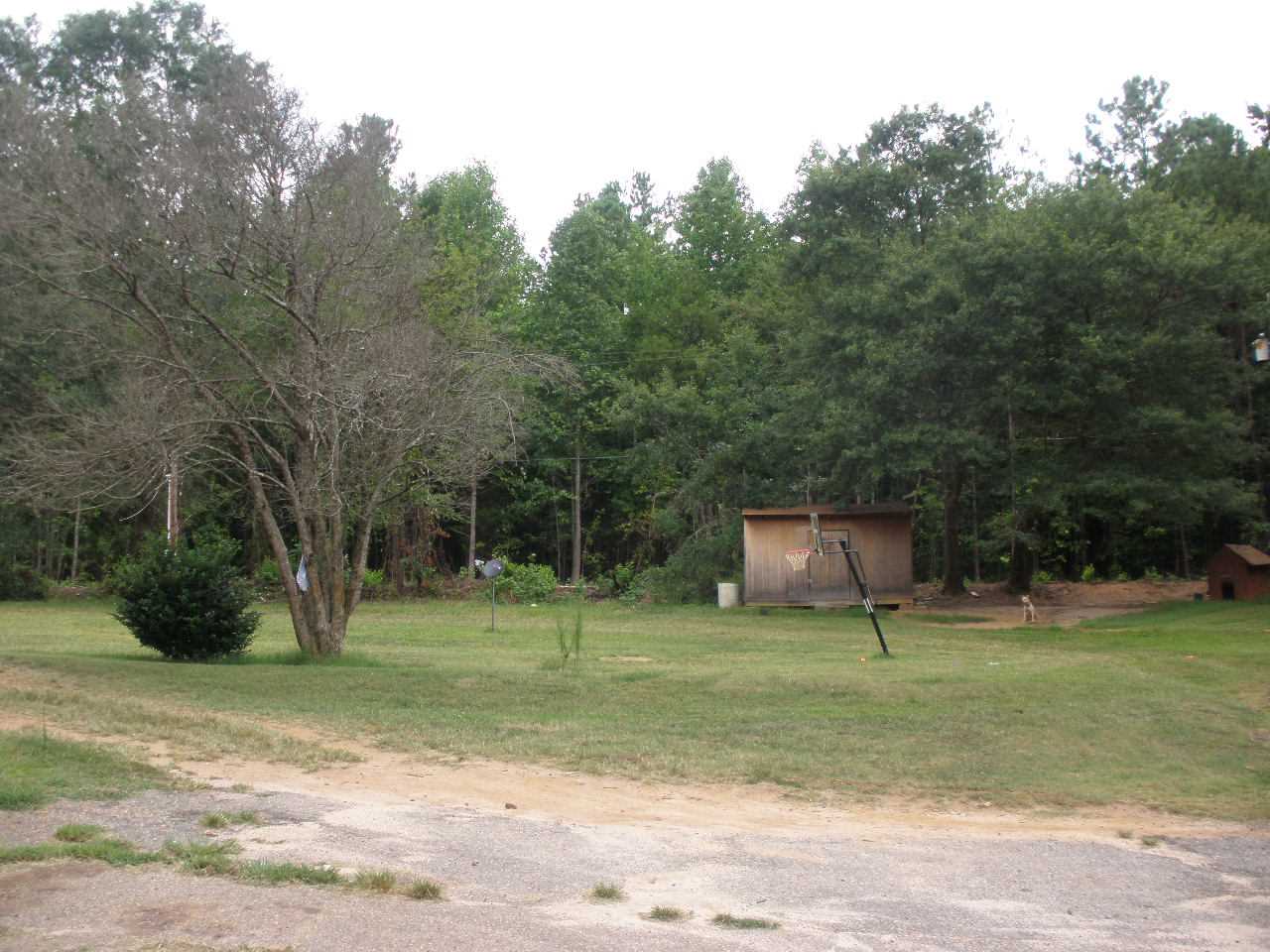 249 Bishop Road Inman, SC 29349 - Photo 9 of 13