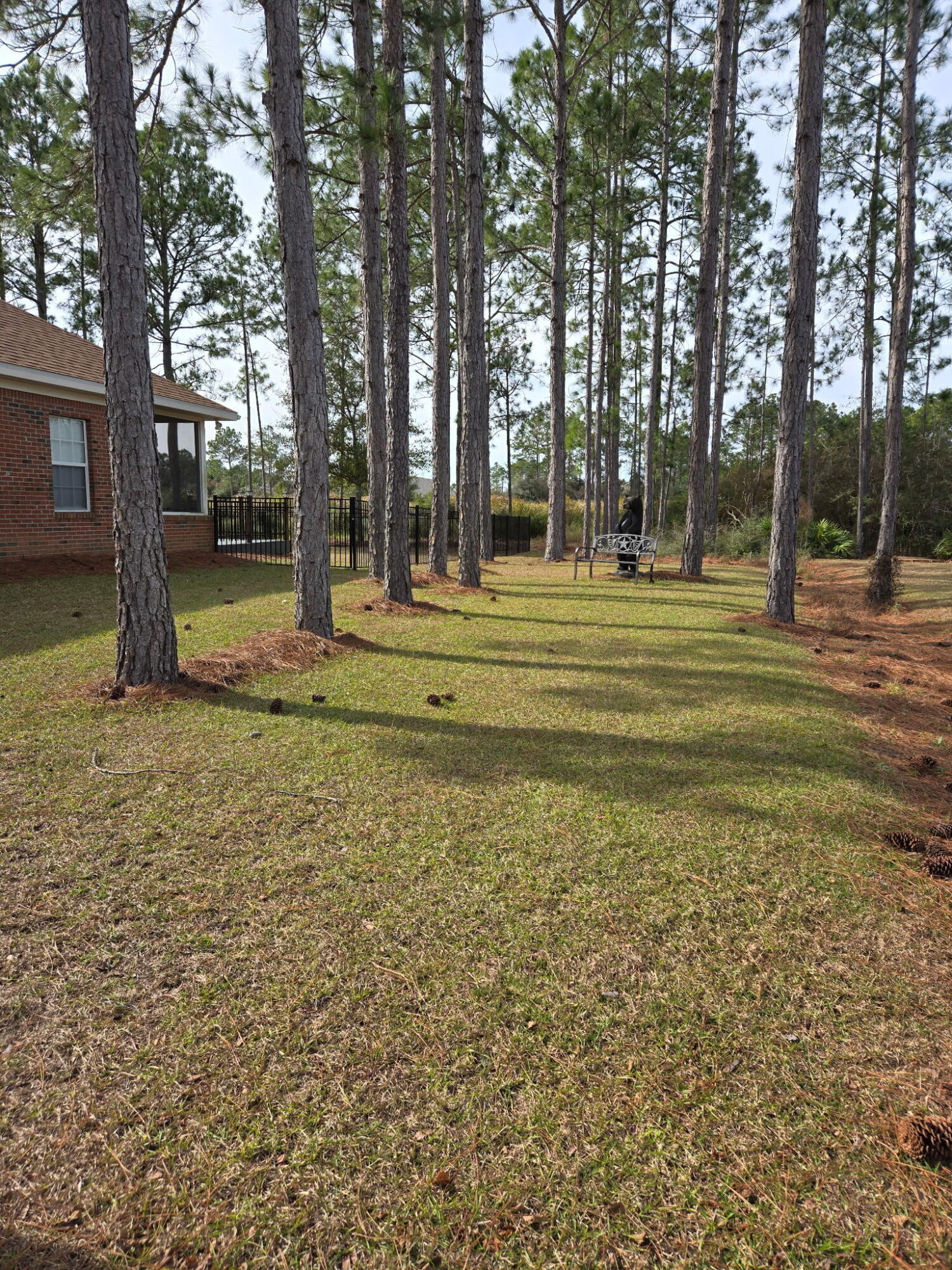 180 Gulf Pines Court Freeport, FL 32439 - Photo 59 of 70 a view of a trees in front of a house