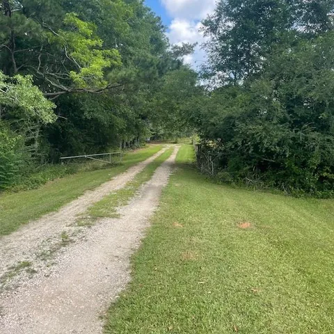 a view of a swimming pool with a yard and large trees