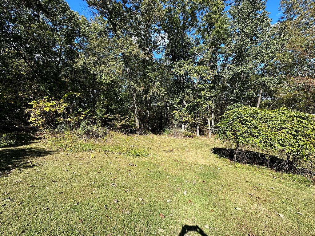 7051 Scenic Heights Road Manchester, GA 31816 - Photo 51 of 57 Gallery Image 51