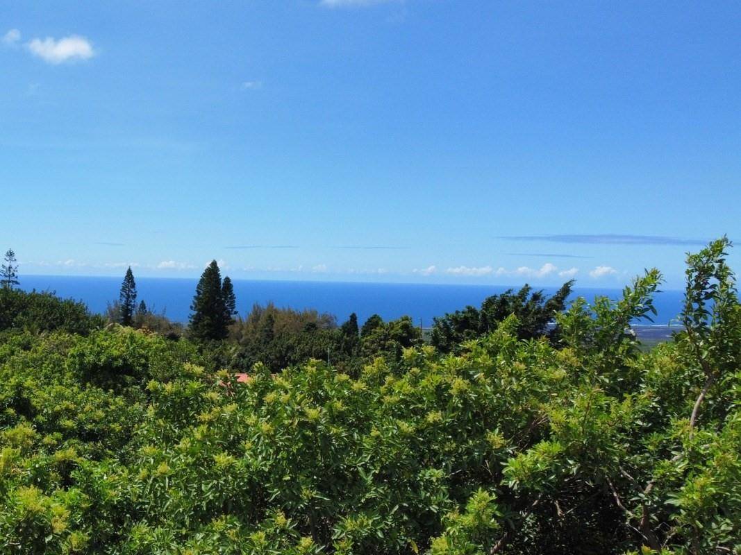 5 Kuamo'o Road Naalehu, HI 96772 - Photo 2 of 6 a view of a city