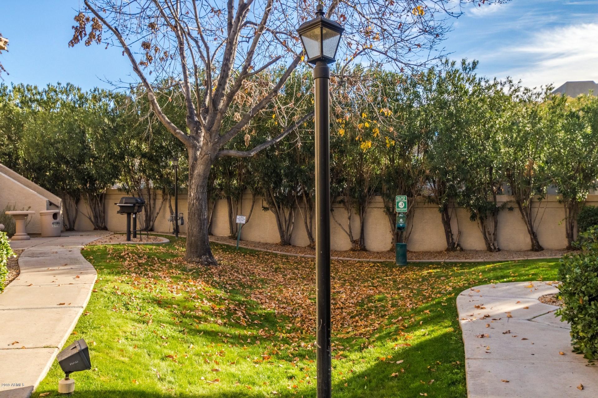 9550 East Thunderbird Road, Unit 252 Scottsdale, AZ 85260 - Photo 15 of 21 a view of a yard with trees