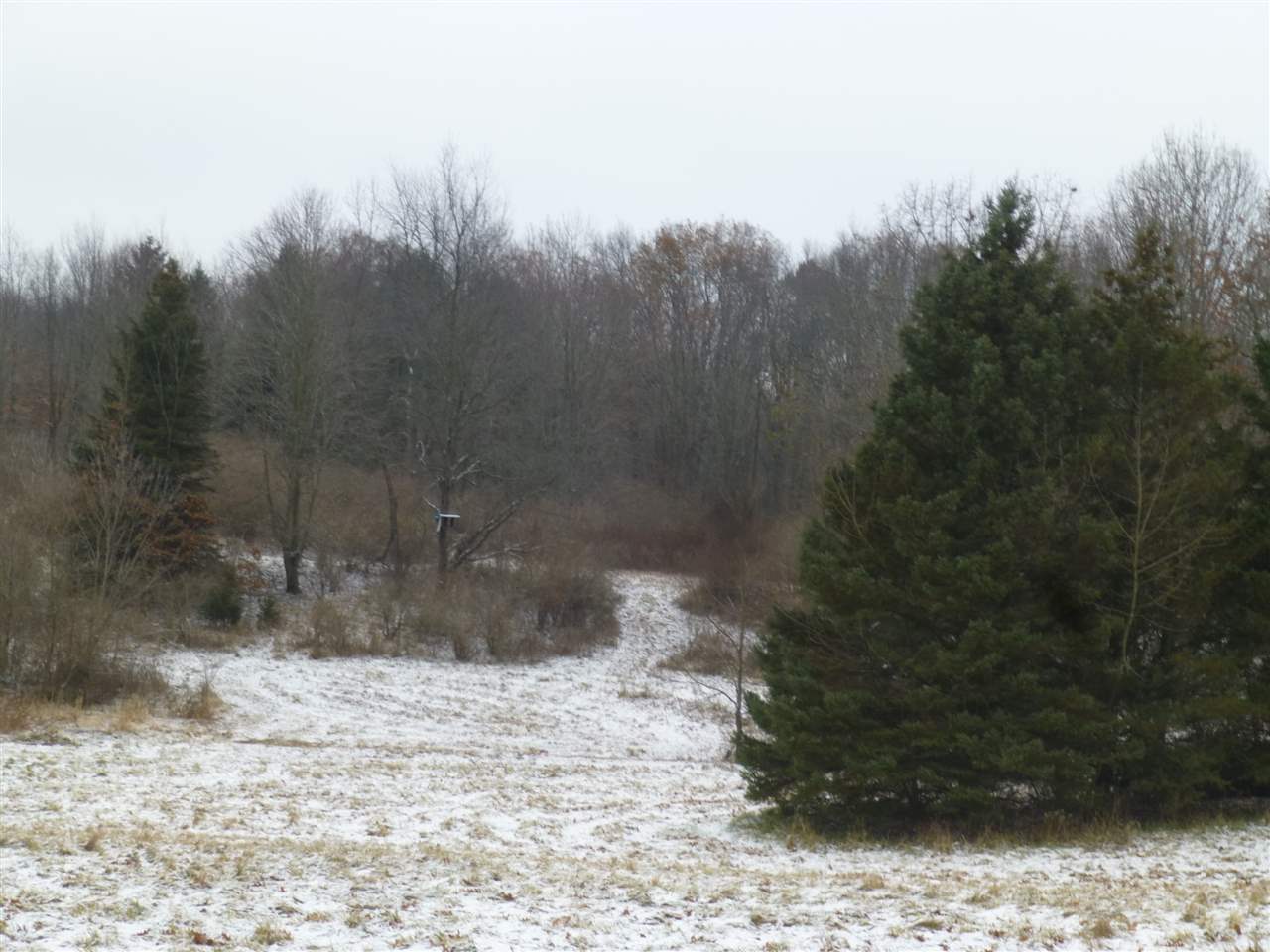 11890 Rathbon Road Byron, MI 48418 - Photo 18 of 37