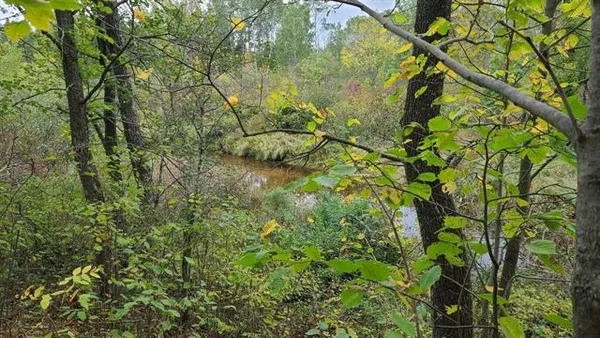 $160,000 | 40-acres Copper Mine, Gordon, WI 54838