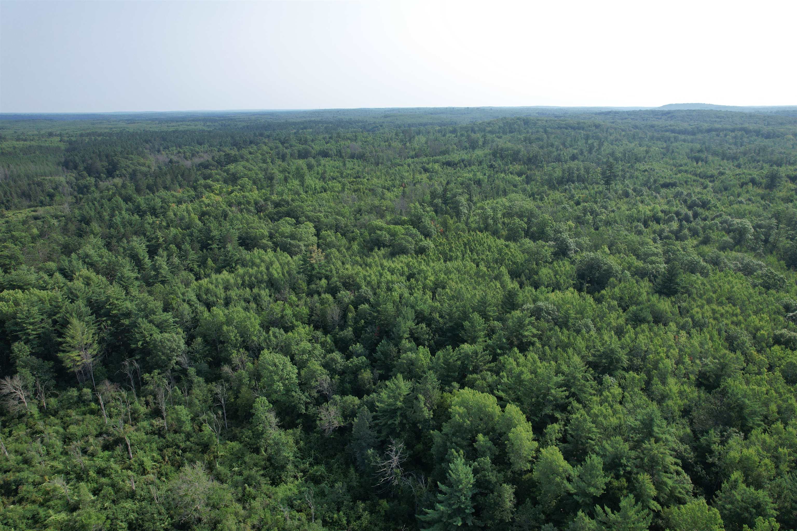 40-acres Copper Mine Road Gordon, WI 54838 - Photo 12 of 12