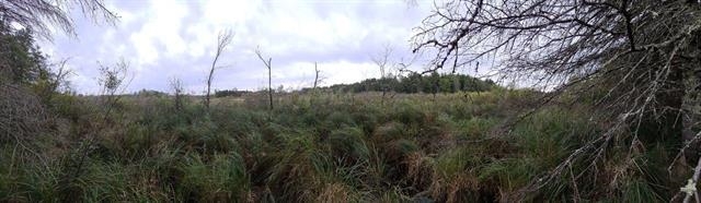 40-acres Copper Mine Road Gordon, WI 54838 - Photo 2 of 12