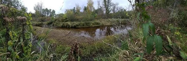$160,000 | 40-acres Copper Mine, Gordon, WI 54838