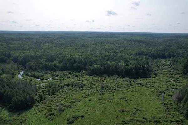 $160,000 | 40-acres Copper Mine, Gordon, WI 54838