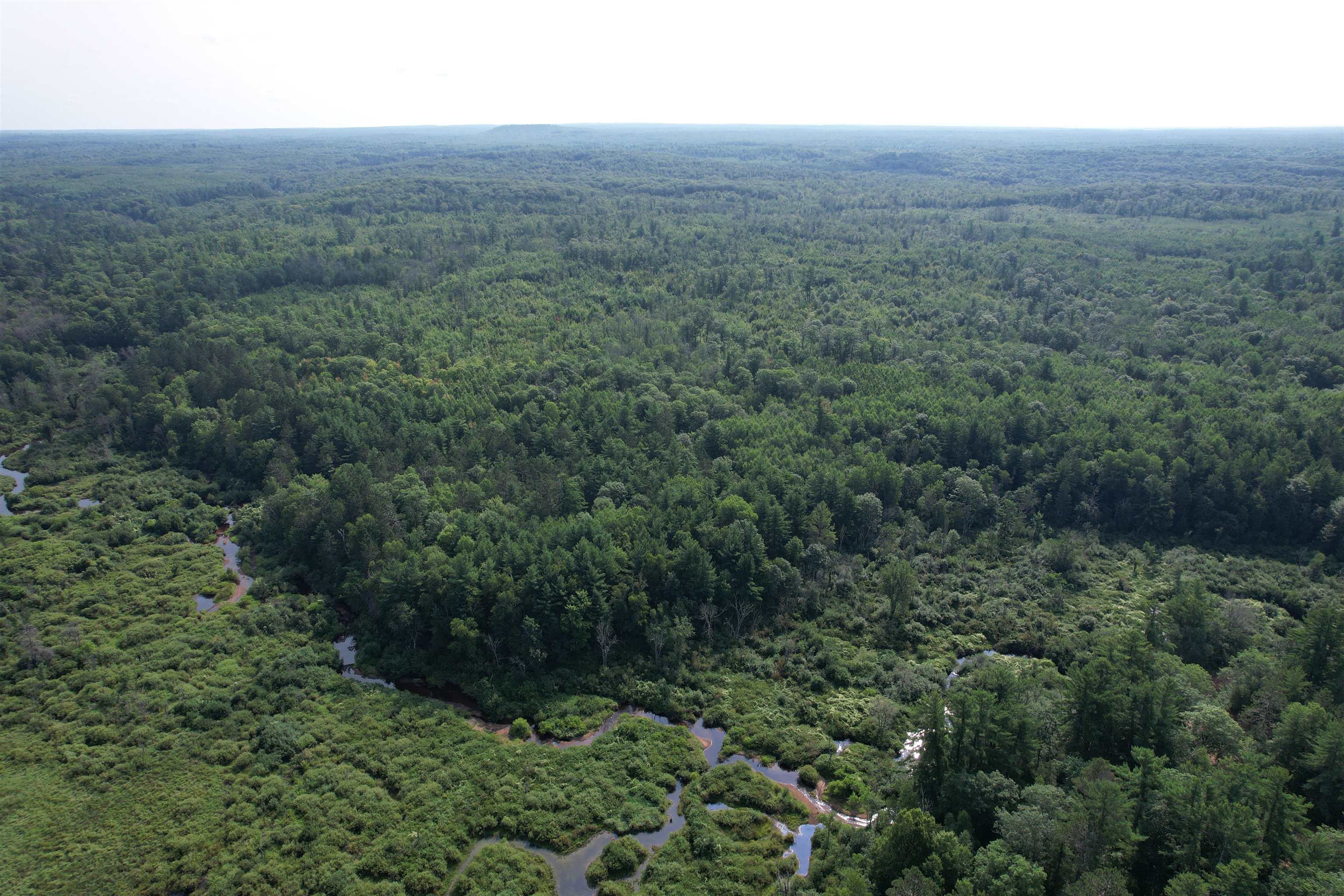 40-acres Copper Mine Road Gordon, WI 54838 - Photo 8 of 12