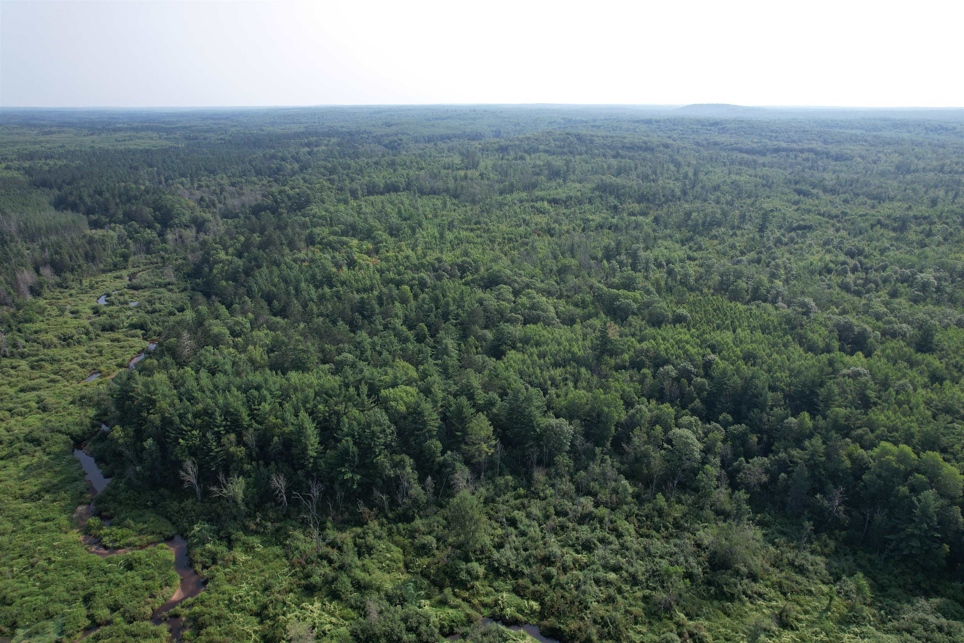 40-acres Copper Mine Road Gordon, WI 54838 - Photo 9 of 12