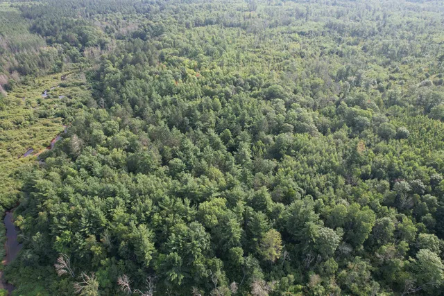 $160,000 | 40-acres Copper Mine Road, Gordon, WI 54838