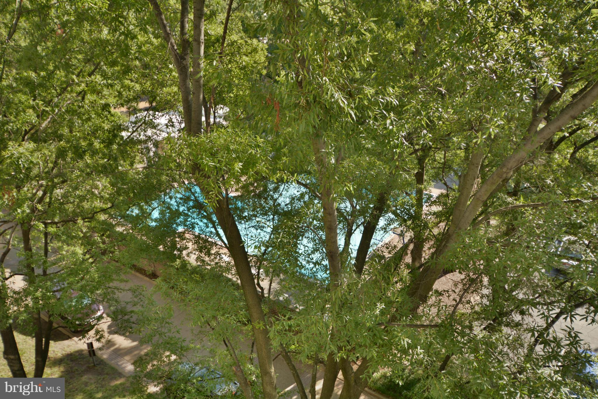 700 7th Street Southwest, Unit 630 Washington, DC 20024 - Photo 21 of 28 a view of a tree