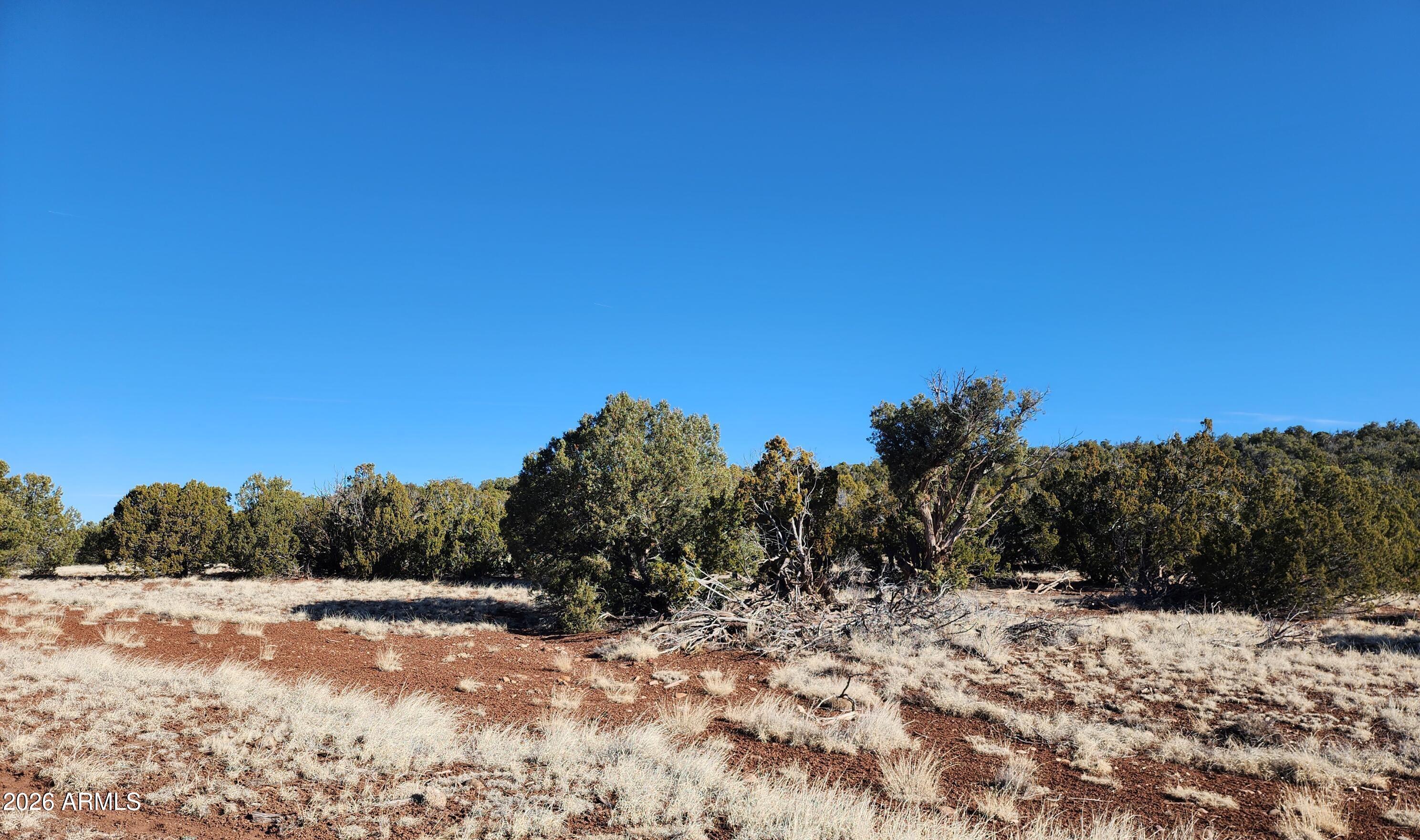2 County Road Concho, AZ 85924 - Photo 4 of 10 2 County Rd N8715