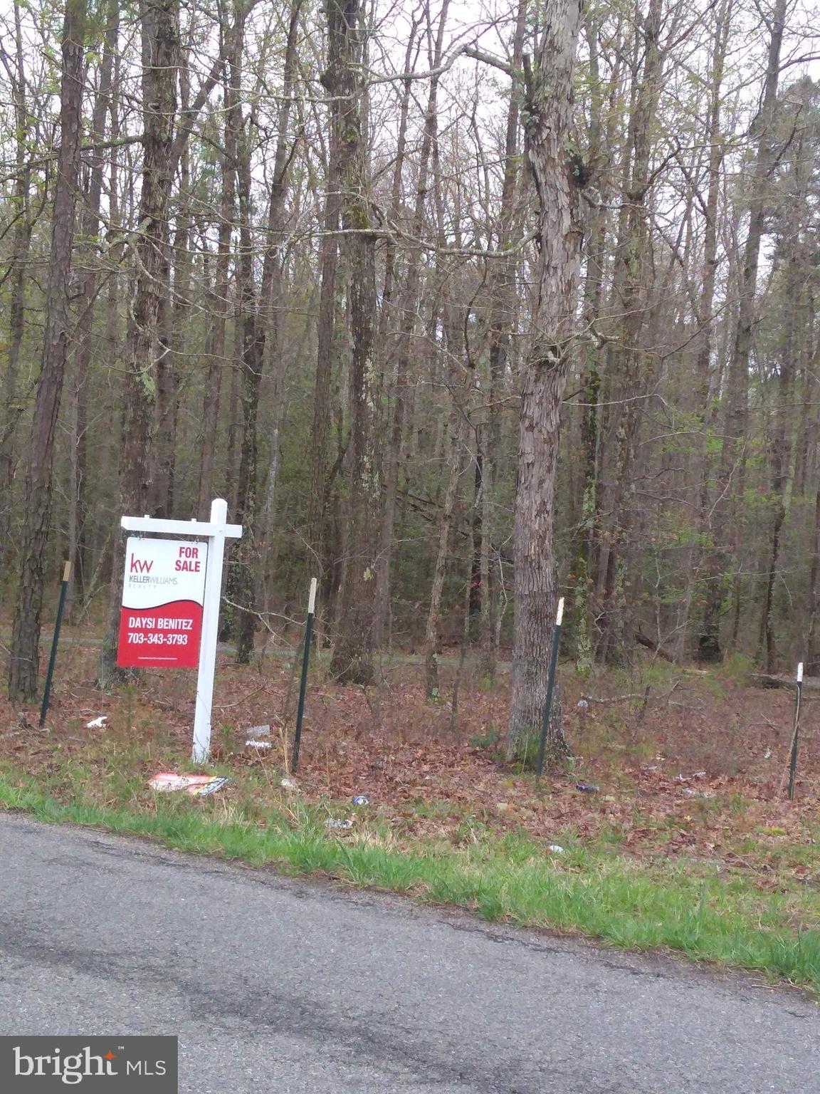 110 Jericho Road Ruther Glen, VA 22546 - Photo 8 of 10 Gallery Image 8