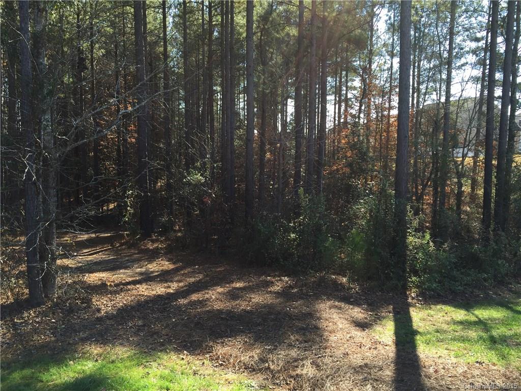 87453 Edsen Court, Unit 79 Lancaster, SC 29720 - Photo 11 of 16 Gallery Image 11