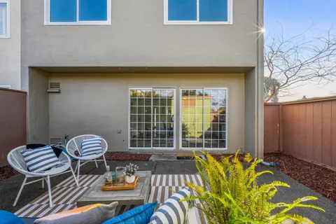 a view of a park with a tree