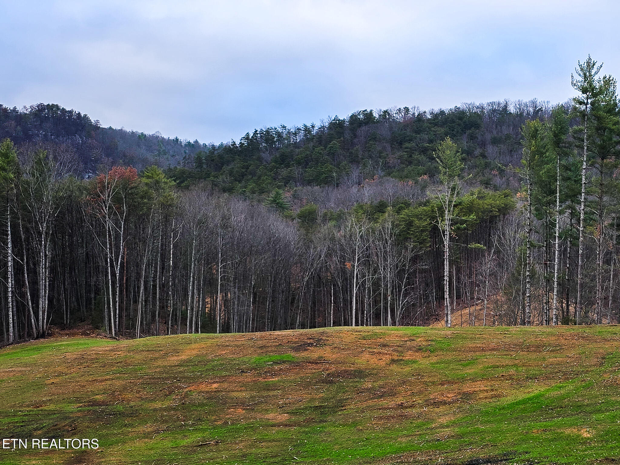 Creek Road Tellico Plains, TN 37385 - Photo 4 of 8 20241219_164303