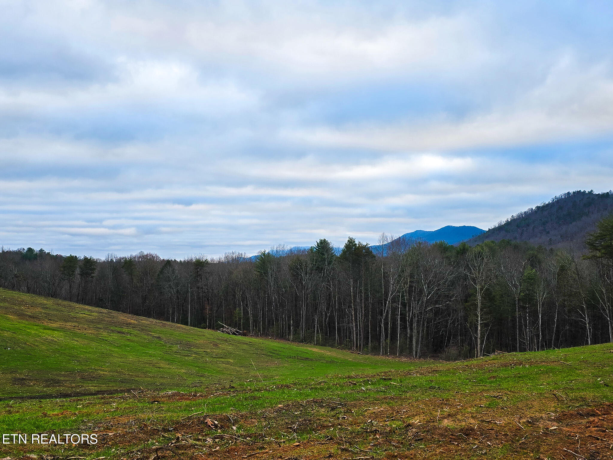 Creek Road Tellico Plains, TN 37385 - Photo 5 of 8 20241219_164526
