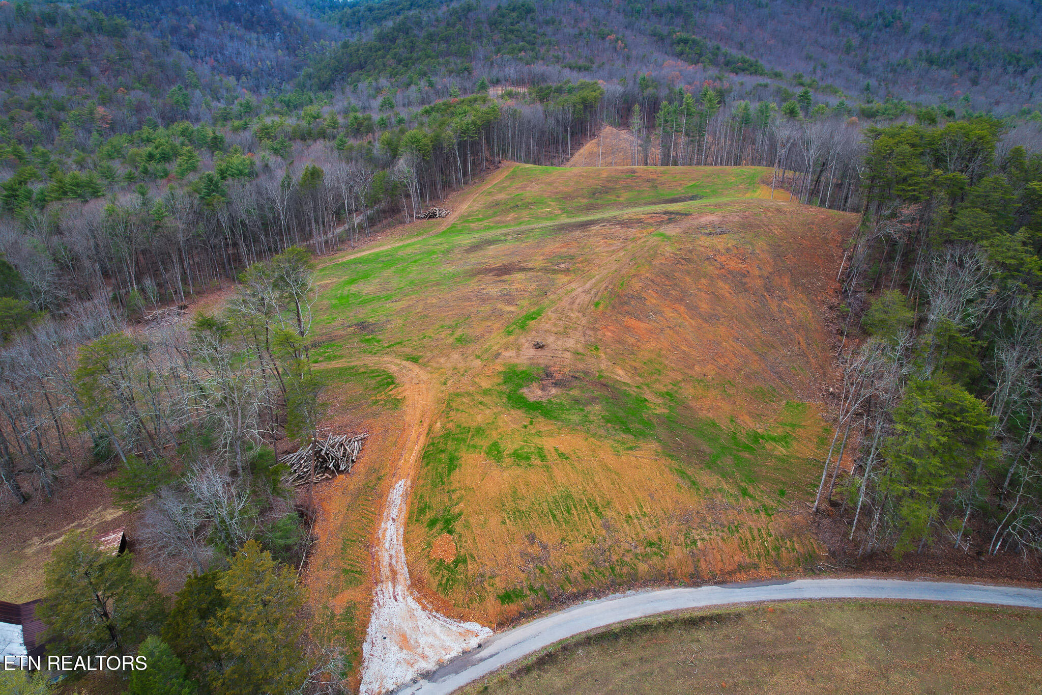 Creek Road Tellico Plains, TN 37385 - Photo 7 of 8 DJI_0626