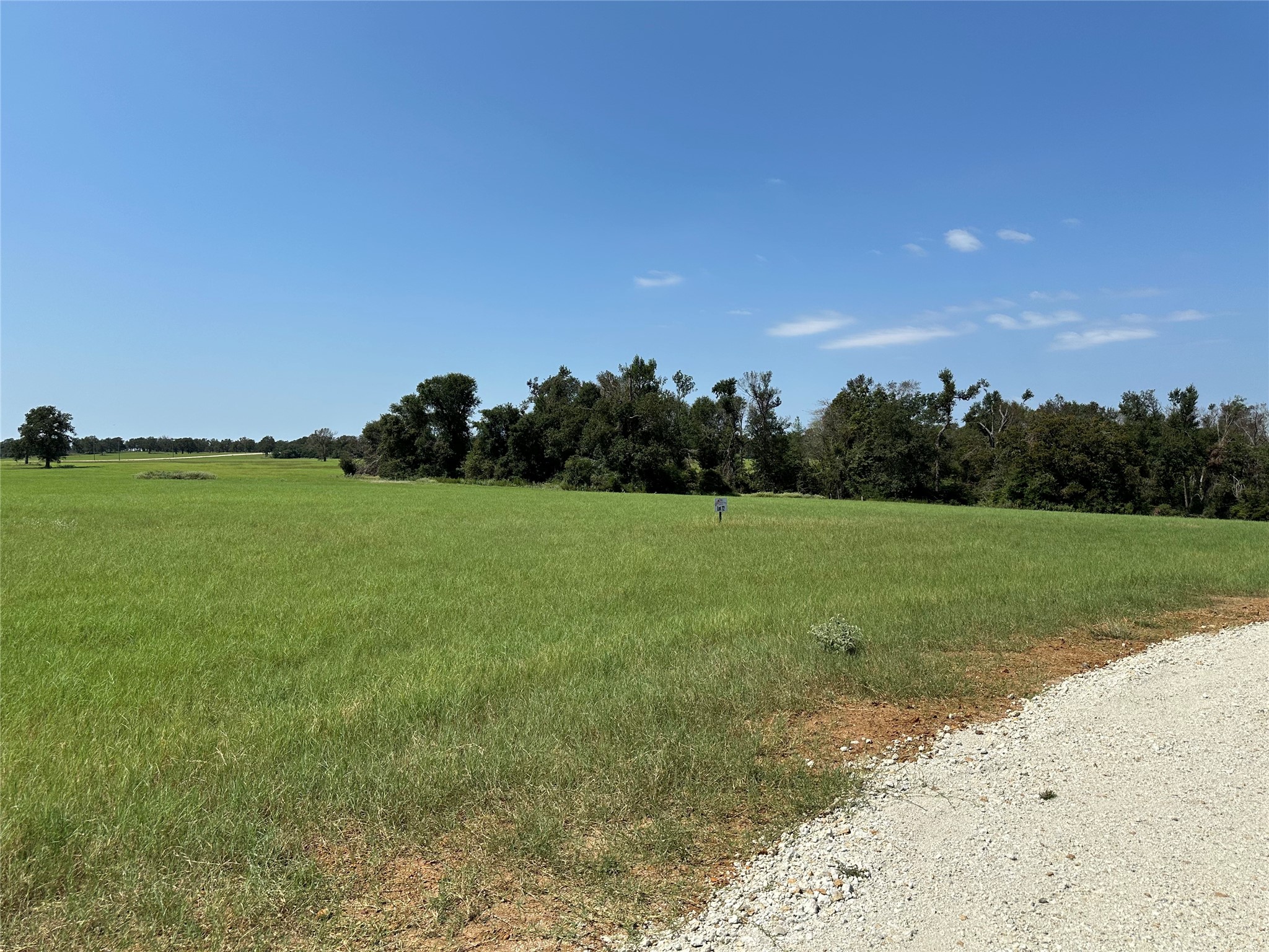 Lot 87 Horseshoe Lake Ranch Marquez, TX 77865 - Photo 4 of 9 a view of a field with an trees in the background