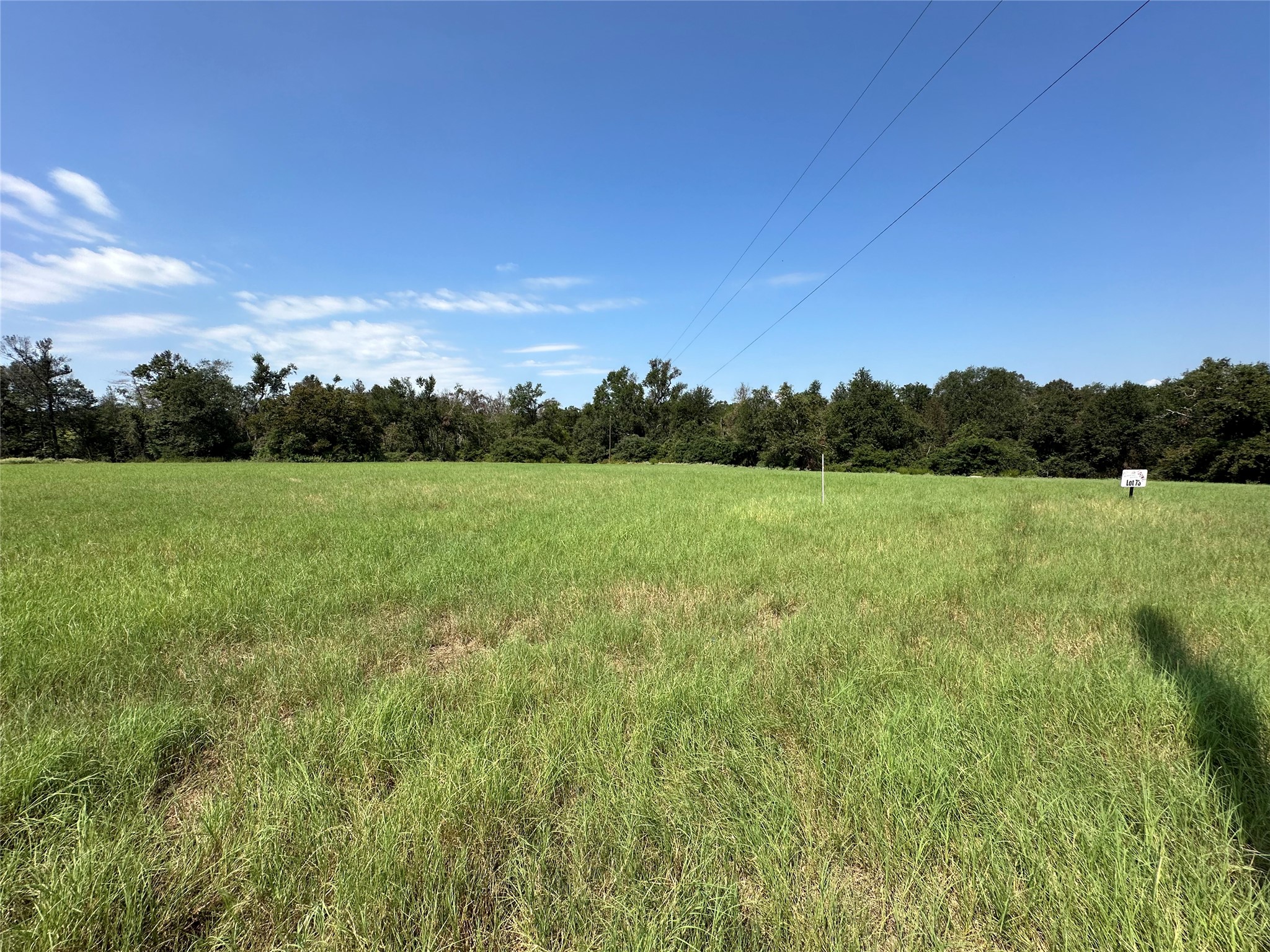 Lot 87 Horseshoe Lake Ranch Marquez, TX 77865 - Photo 5 of 9 a view of a field with trees in the background