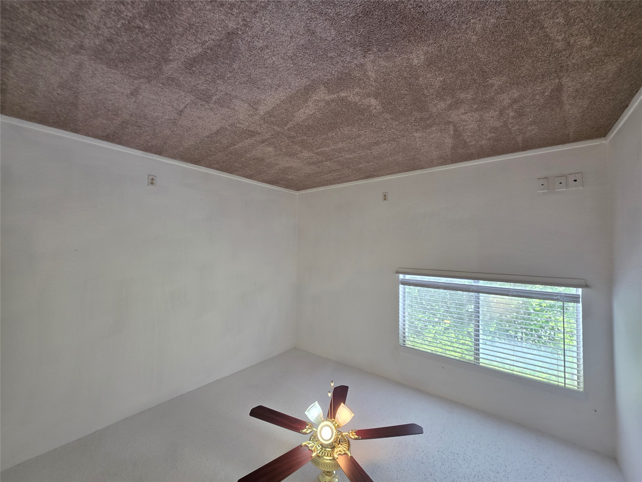 8818 Clearbrook Trail Austin, TX 78729 - Photo 14 of 22 Unit A Second Bedroom