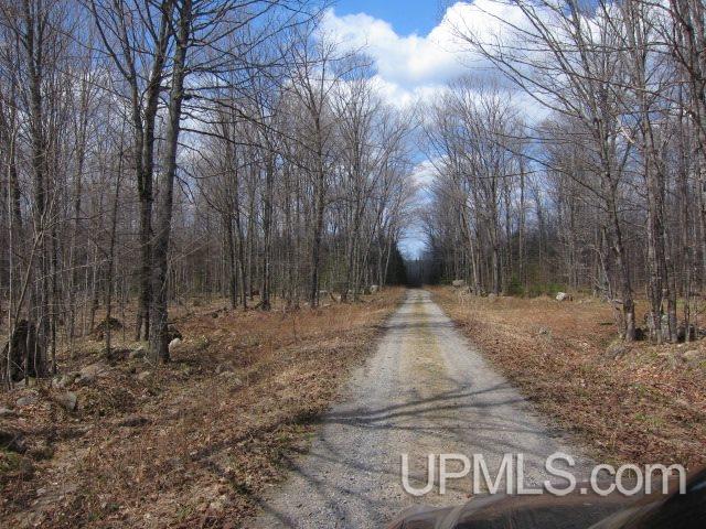 Four 4 Corners Road Crystal Falls, MI 49920 - Photo 17 of 17