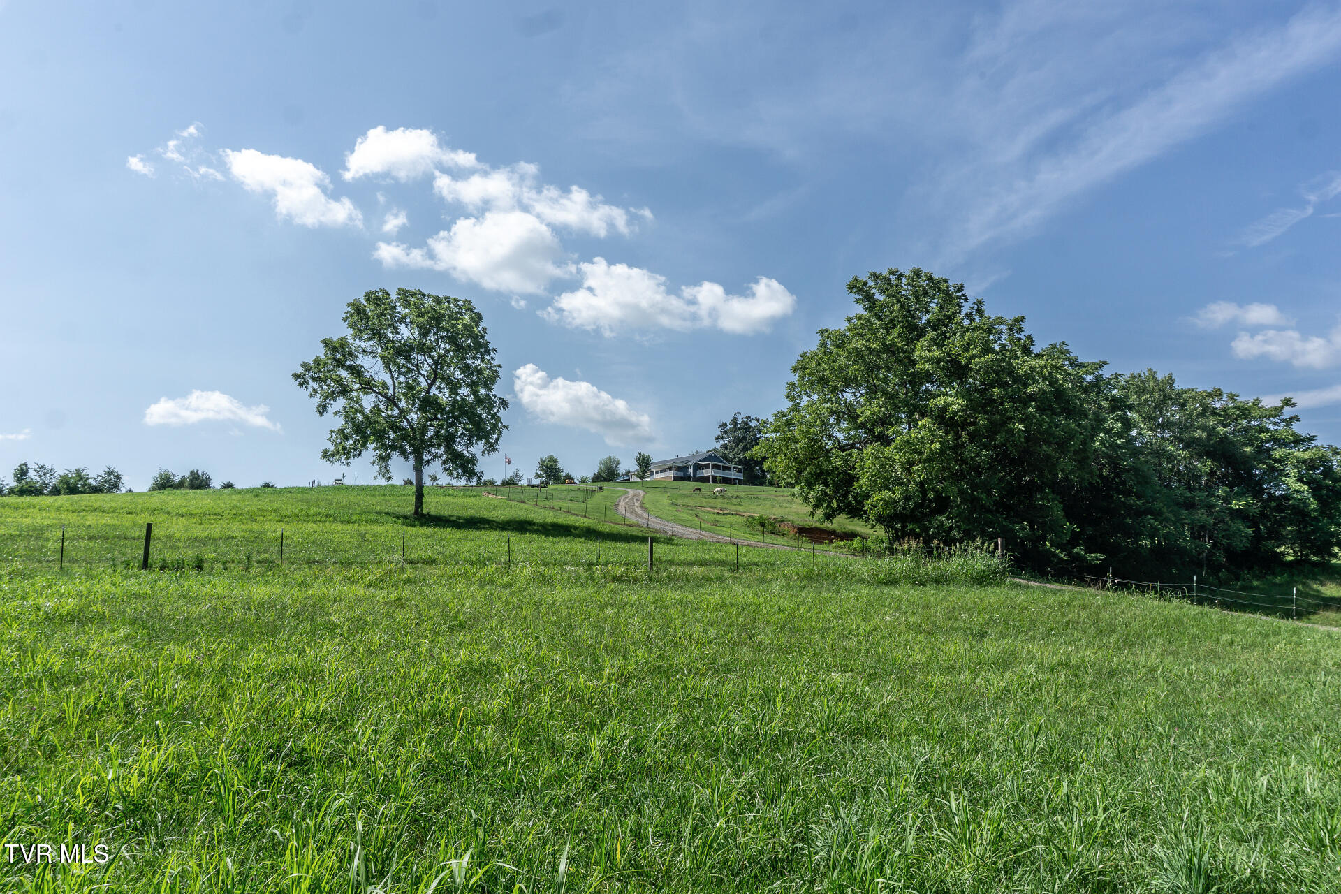 255 Jeffers Lane Limestone, TN 37681 - Photo 66 of 70 255JeffersLnL_052