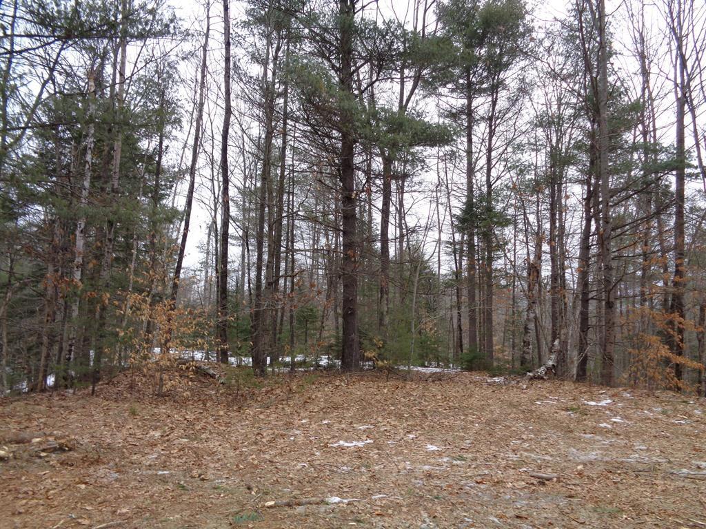 Map 5-lot Map 5-lot Mount Augusta, ME 04330 - Photo 10 of 18 Land/Lot