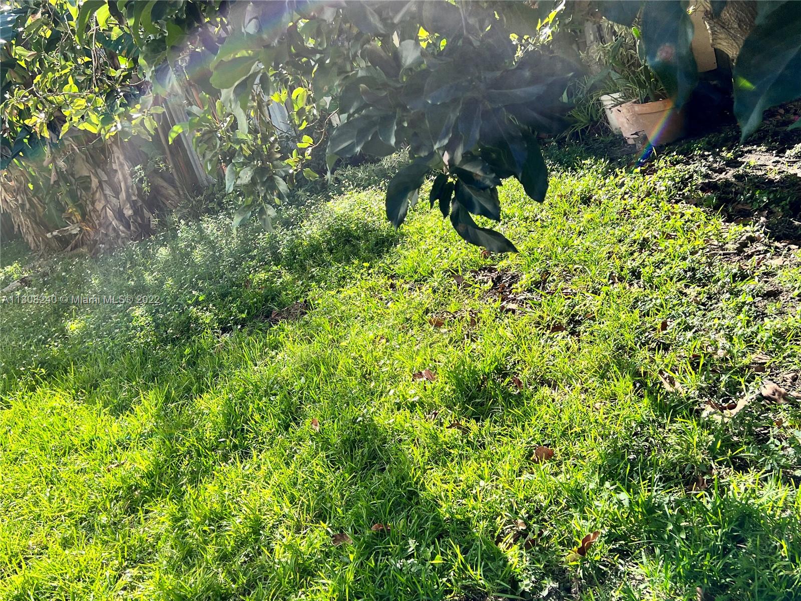 9630 Southwest 152nd Avenue, Unit 34 Miami, FL 33196 - Photo 11 of 13 a view of a plant in a garden