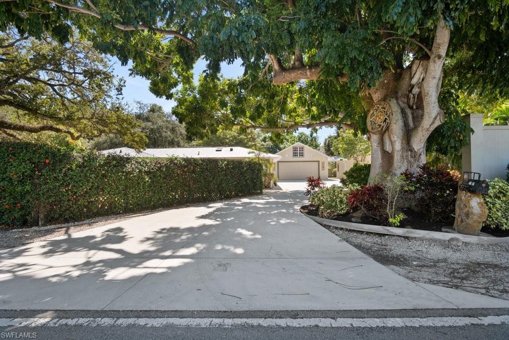a view of a street that has a tree