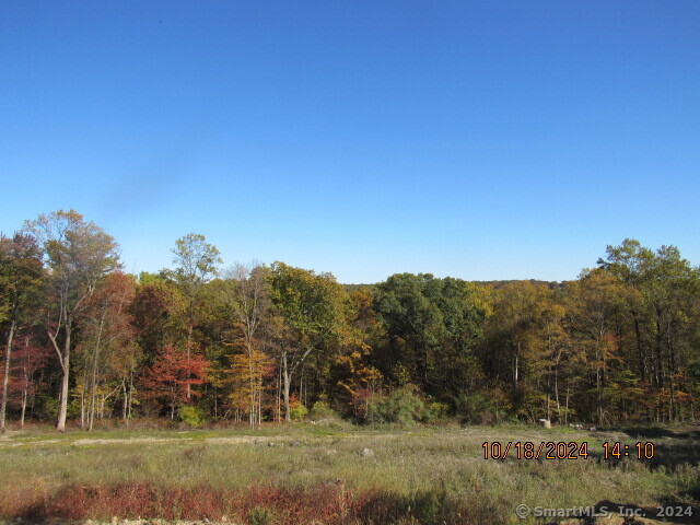 31 Warm Earth Road Naugatuck, CT 06770 - Photo 5 of 36 a view of a field with mountains in the background