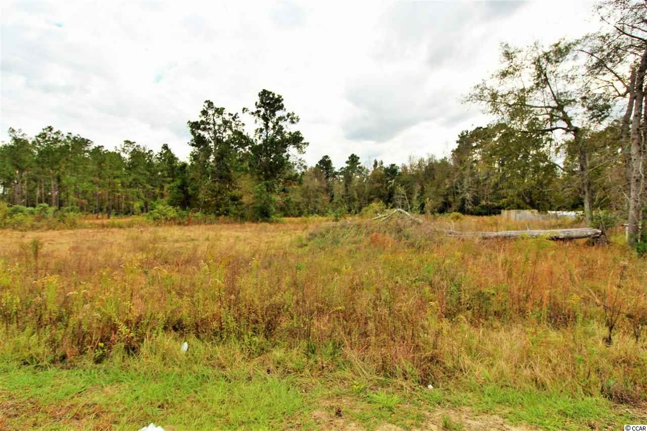 3791 Bethel Chapel Road Loris, SC 29569 - Photo 3 of 6 Gallery Image 3