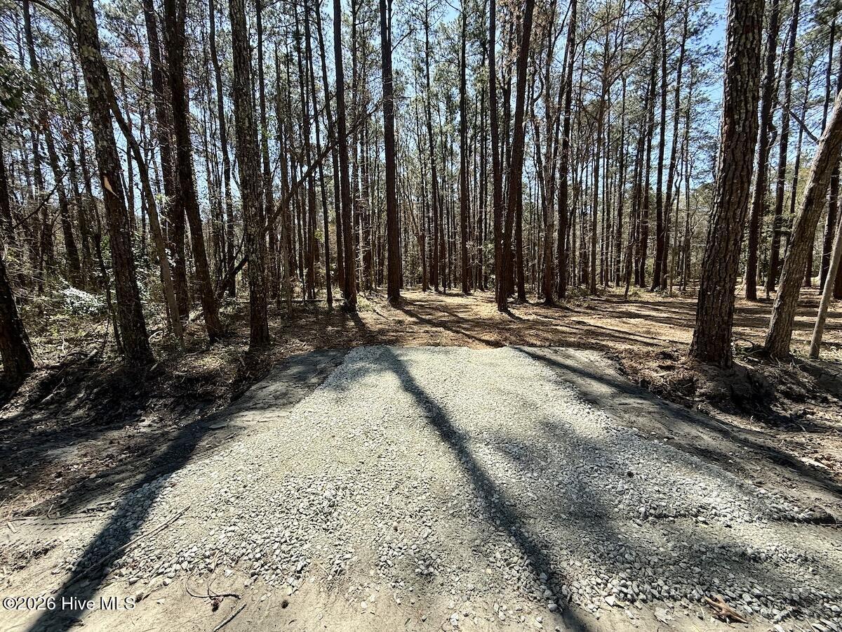 1 Creek Place Road Arapahoe, NC 28510 - Photo 10 of 28 10