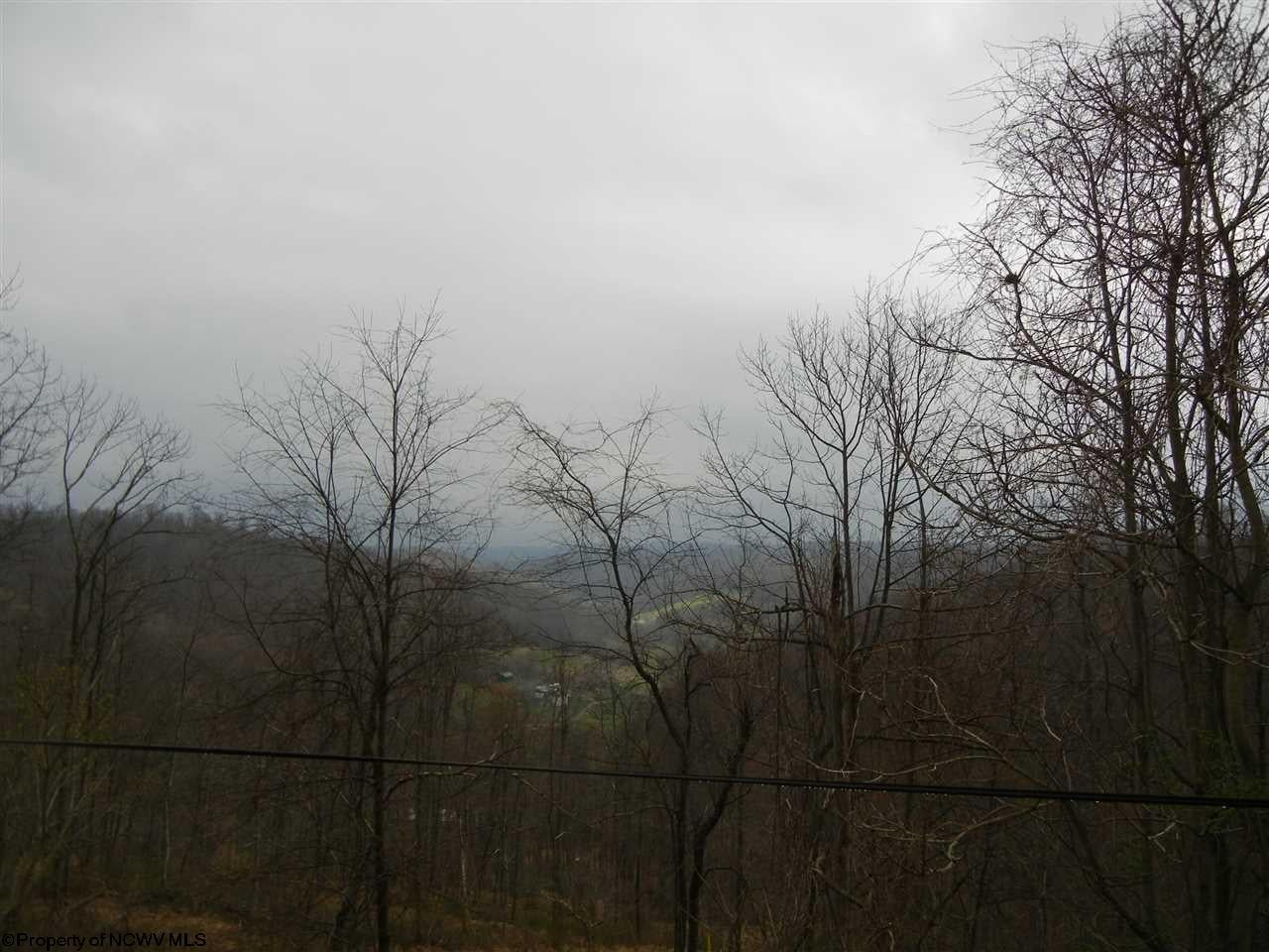1470 Pedlar Run Road Maidsville, WV 26541 - Photo 17 of 17 Gallery Image 17