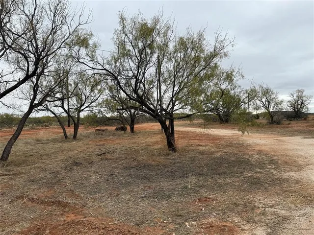 a view of outdoor space with tree s
