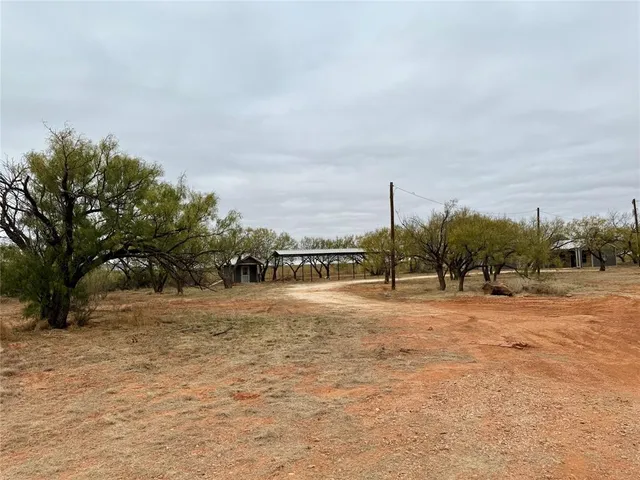 a view of dirt field with trees