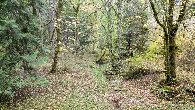 $310,000 | 36201 62nd Avenue South, Roy, WA 98580