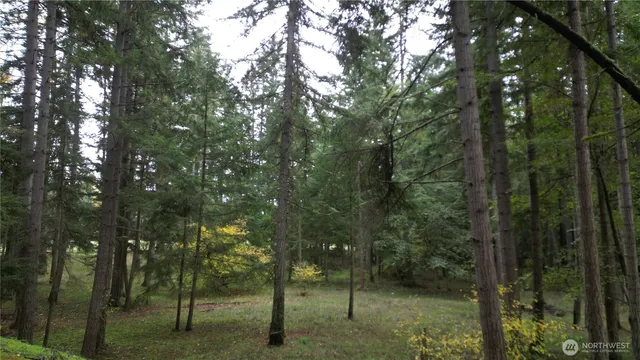 $310,000 | 36201 62nd Avenue South, Roy, WA 98580