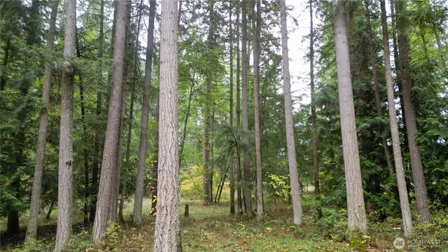 $310,000 | 36201 62nd Avenue South, Roy, WA 98580