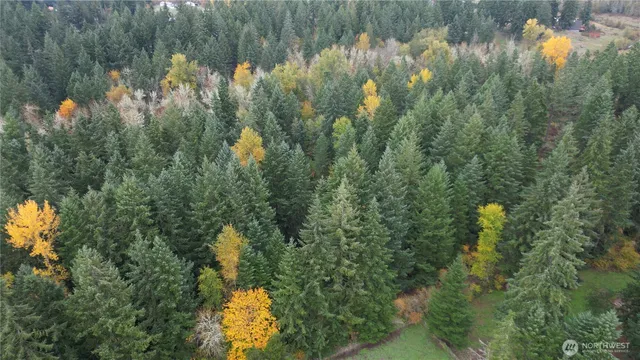 $310,000 | 36201 62nd Avenue South, Roy, WA 98580