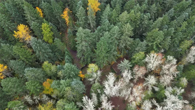 $310,000 | 36201 62nd Avenue South, Roy, WA 98580