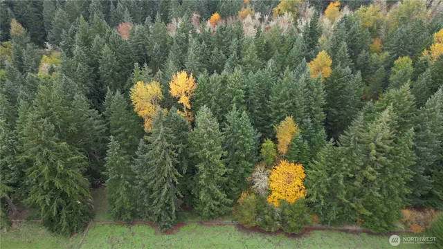 $310,000 | 36201 62nd Avenue South, Roy, WA 98580